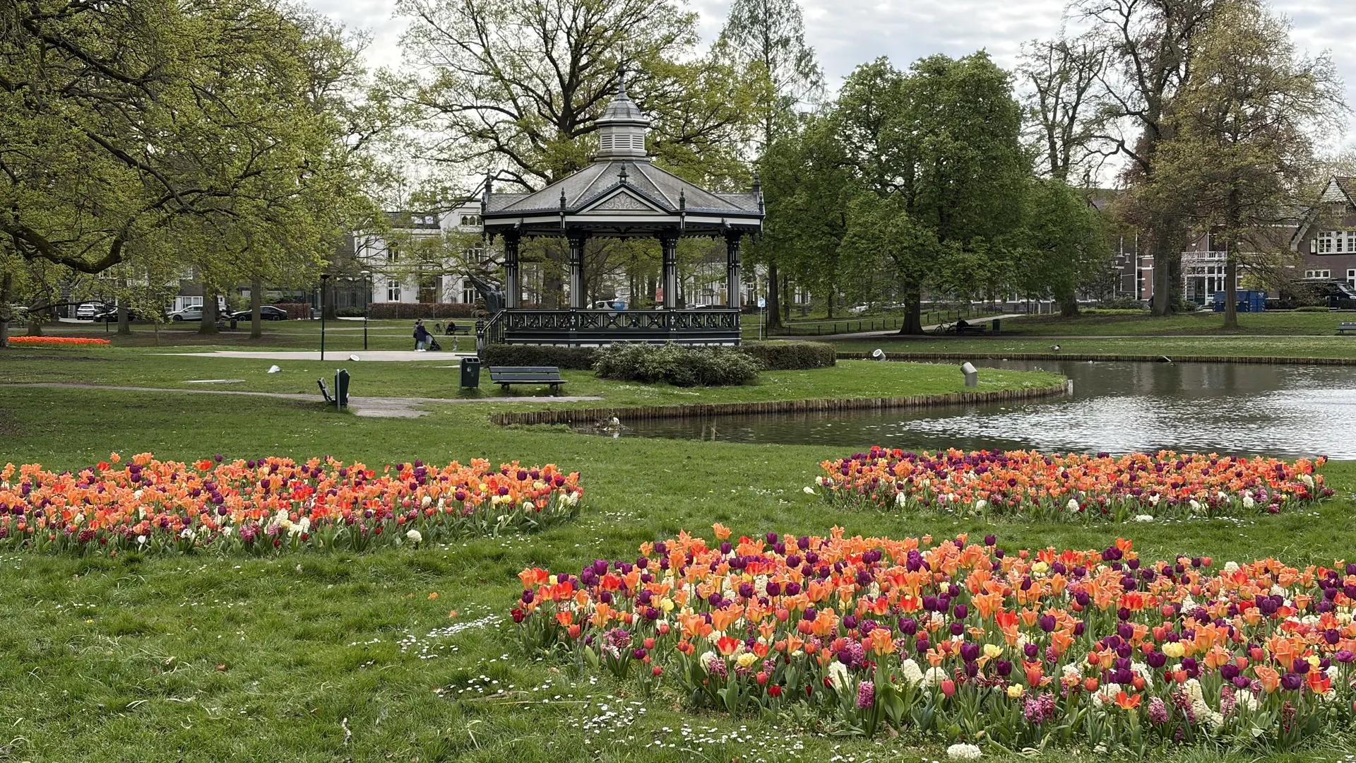De Parken: muziekkiosk met tulpen