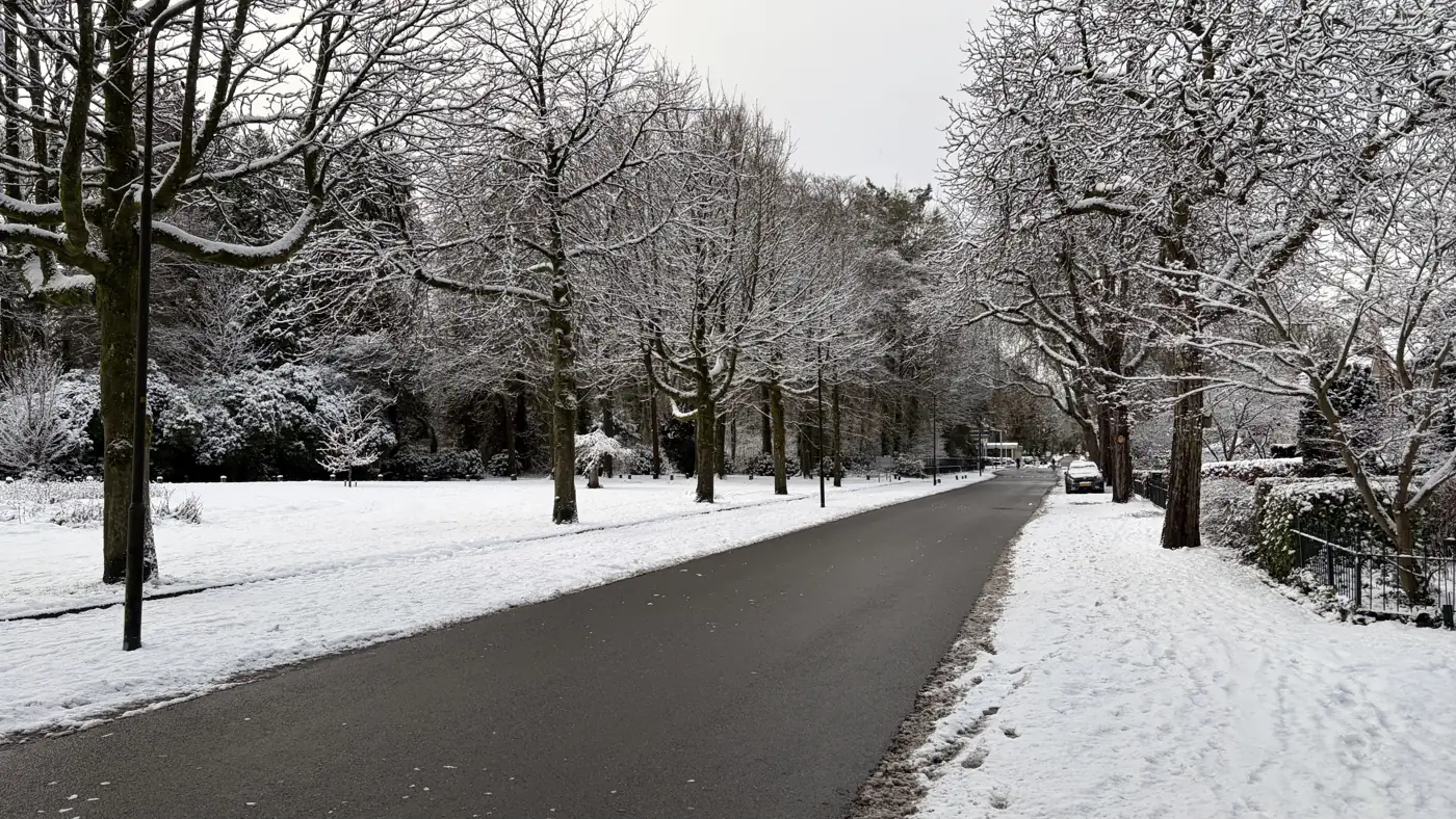 Besneeuwde laan met bomen in Apeldoorn